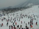 西嶺雪山、鶴鳴音樂小鎮(zhèn)、安仁古鎮(zhèn)二日游