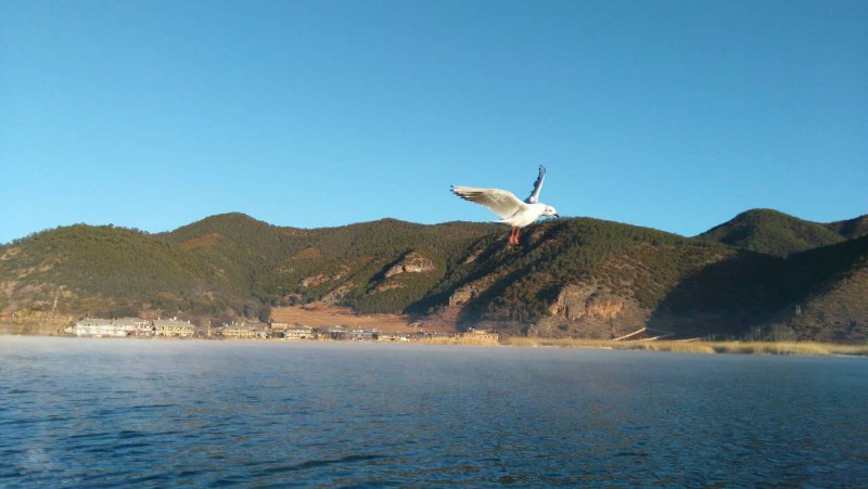 西昌瀘山邛海、知青博物館、摘草莓雙汽三日游